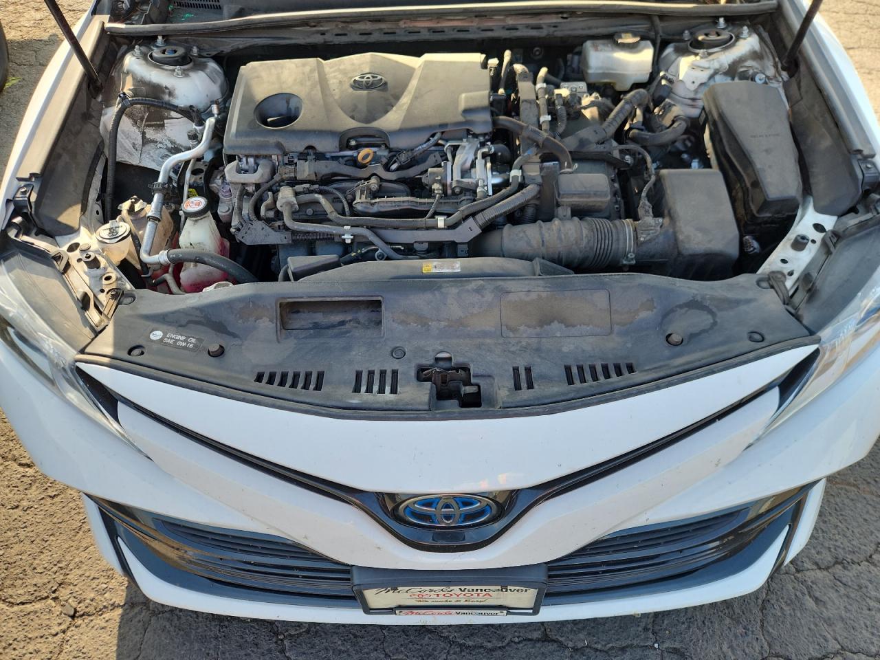 2019 TOYOTA CAMRY