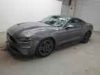 2023 FORD MUSTANG