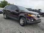 2011 KIA SORENTO