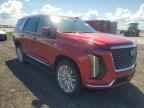 2025 CADILLAC ESCALADE