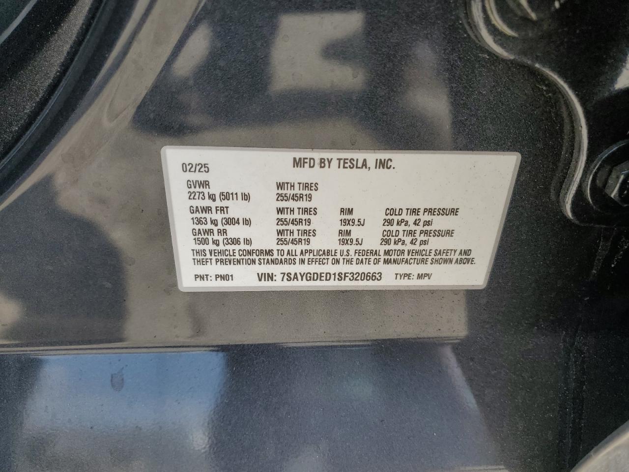 2025 TESLA MODEL Y