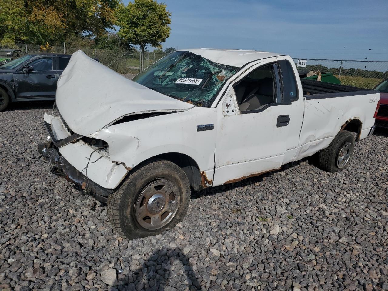 2007 FORD F-150