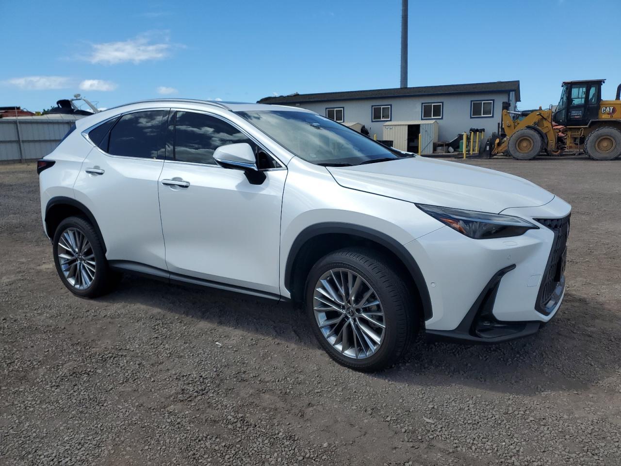 2023 LEXUS Nx