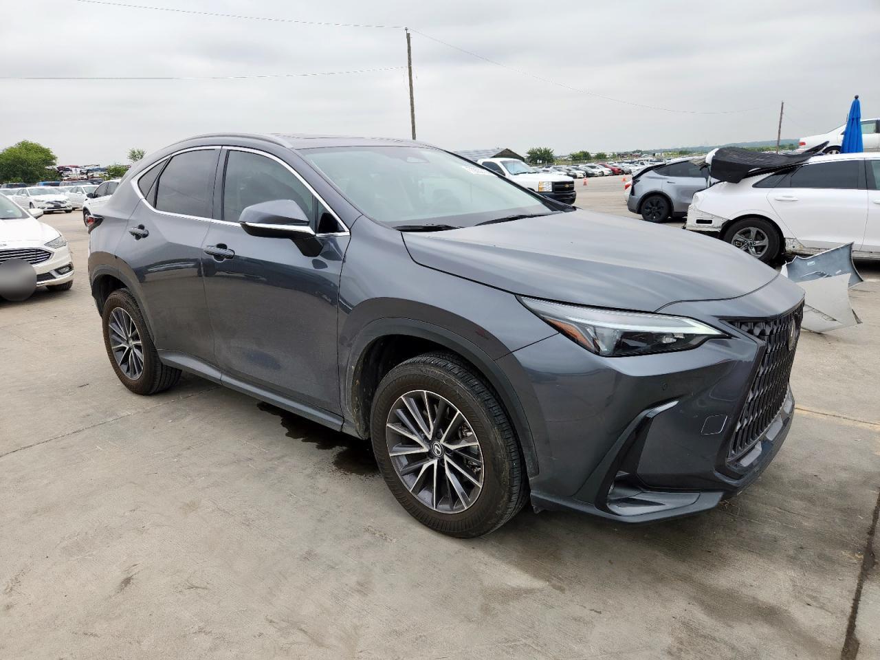 2025 LEXUS Nx