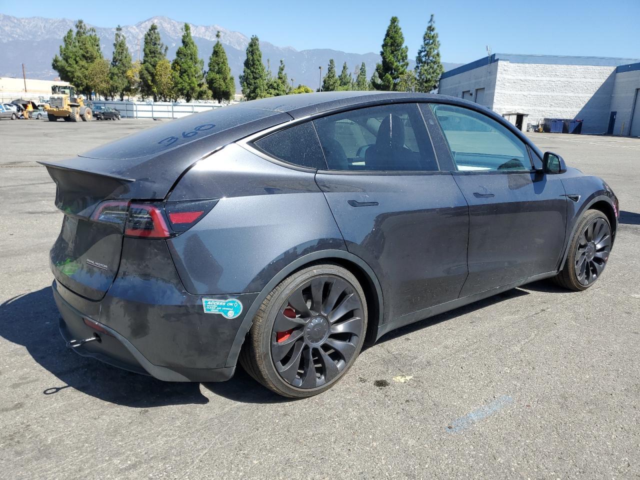 2025 TESLA MODEL Y