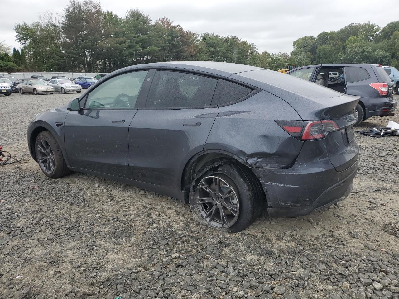 2025 TESLA MODEL Y