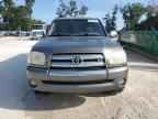 2005 TOYOTA TUNDRA