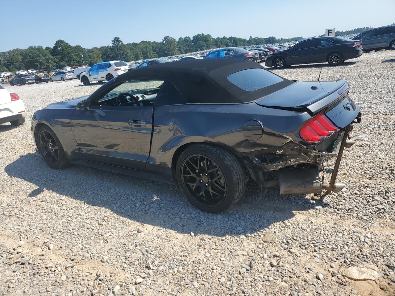 2019 FORD MUSTANG