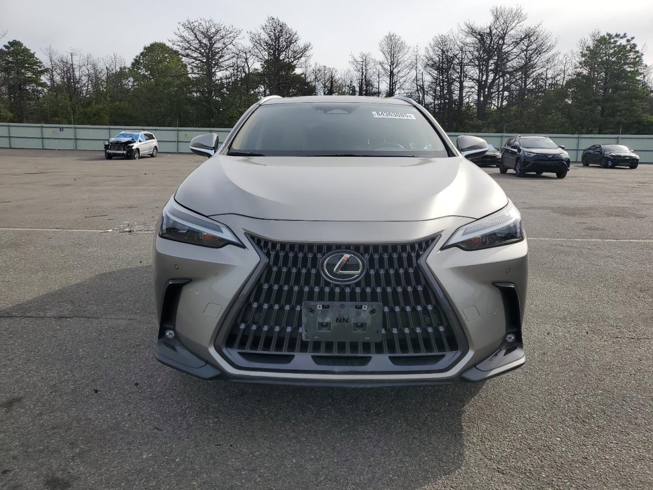 2022 LEXUS Nx