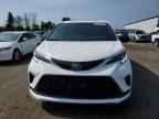 2024 TOYOTA SIENNA