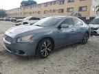 2011 NISSAN Maxima