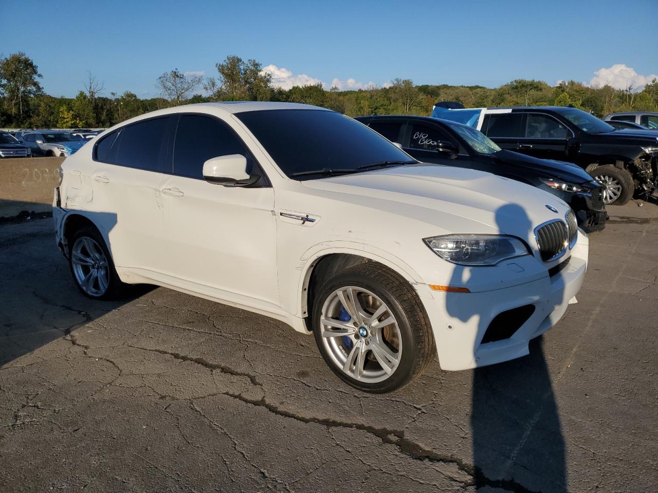 2014 BMW X6