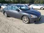 2013 NISSAN Maxima