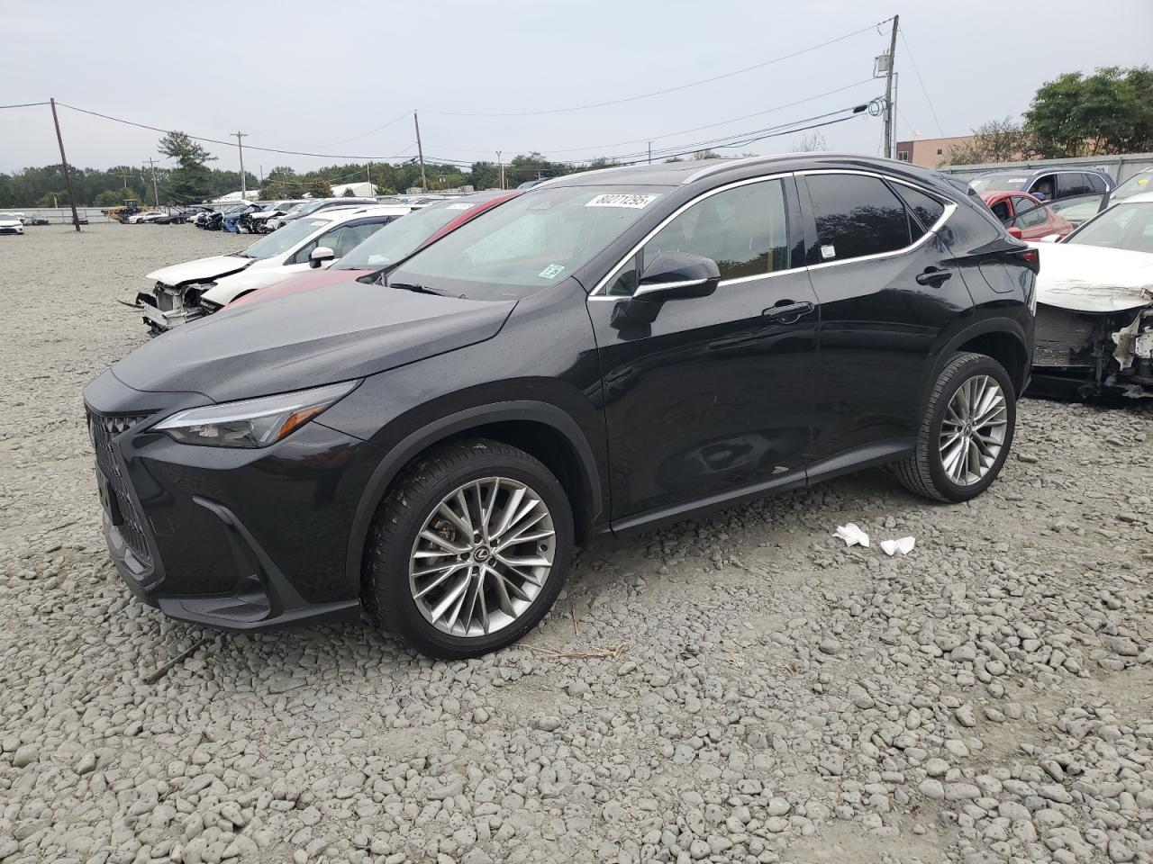 2025 LEXUS NX 350