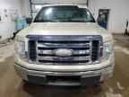 2009 FORD F-150