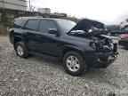2023 TOYOTA 4Runner