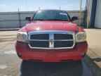 2006 DODGE Dakota