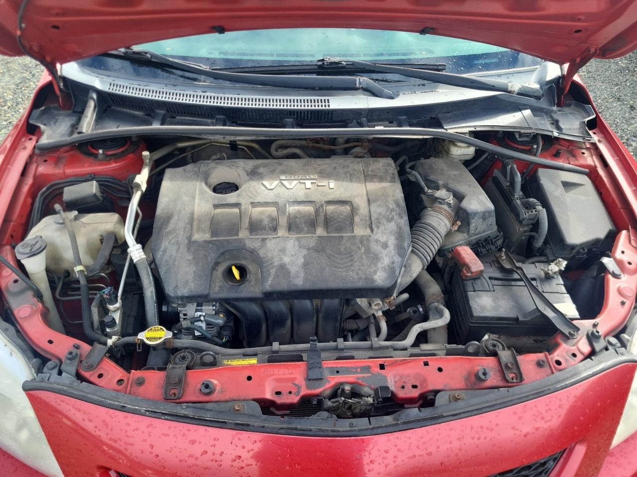 2009 TOYOTA COROLLA