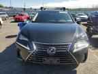 2019 LEXUS Nx