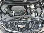 2024 CADILLAC XT5