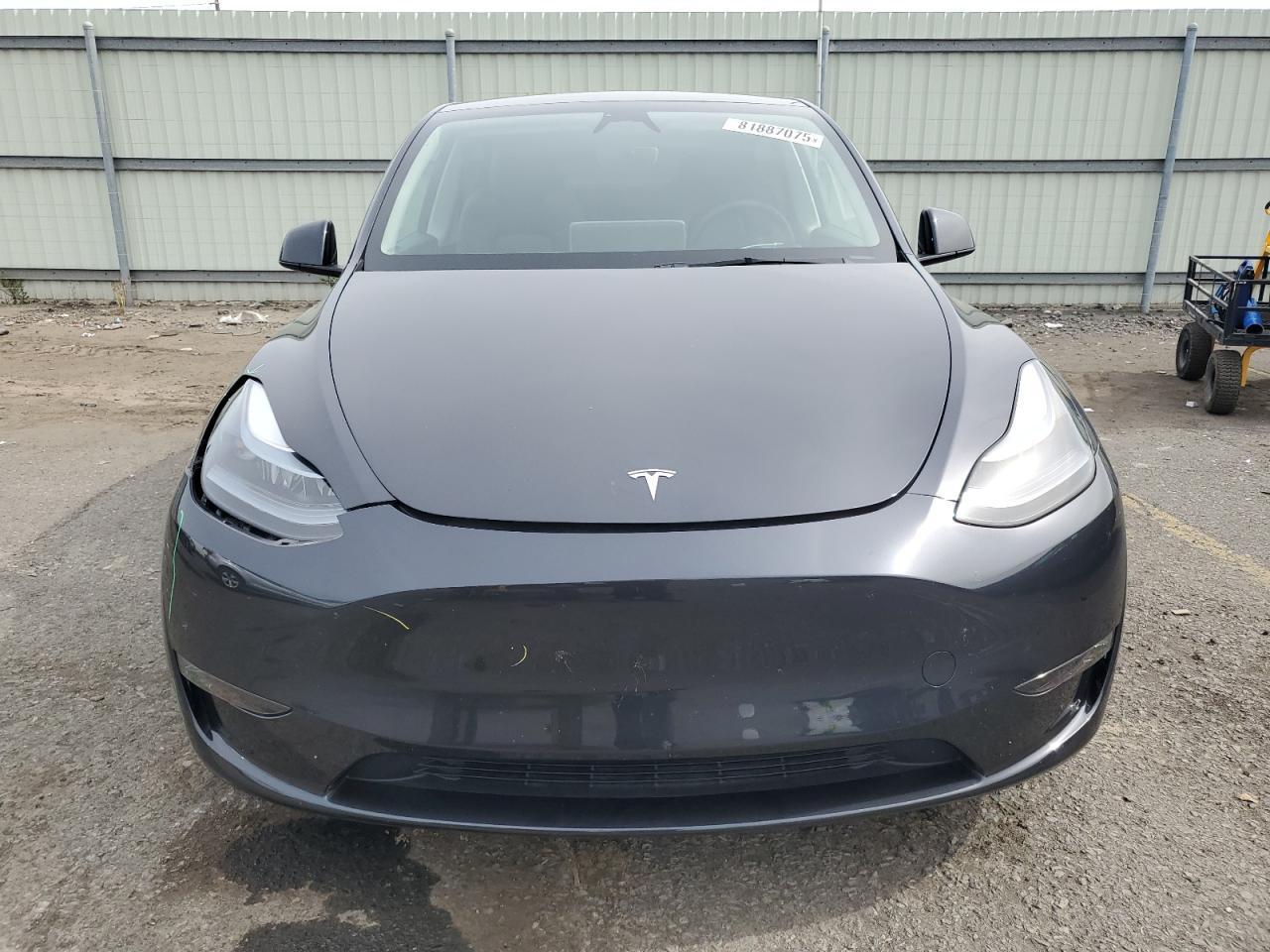 2025 TESLA MODEL Y