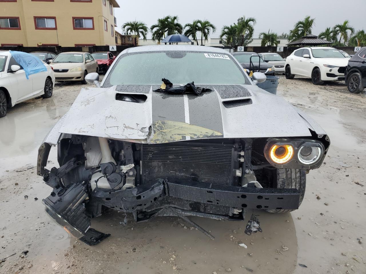 2019 DODGE Challenger