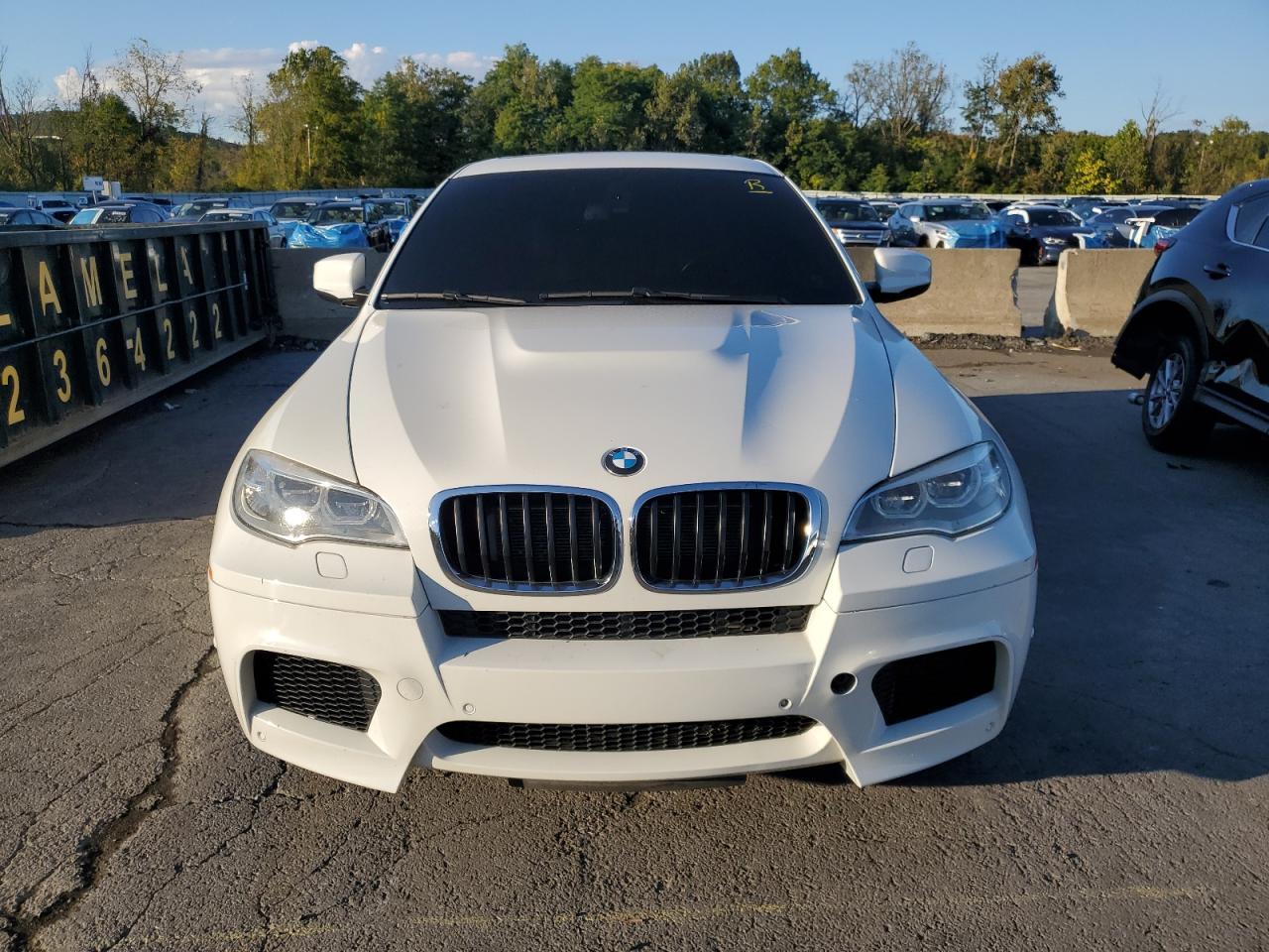 2014 BMW X6