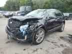 2024 CADILLAC XT5