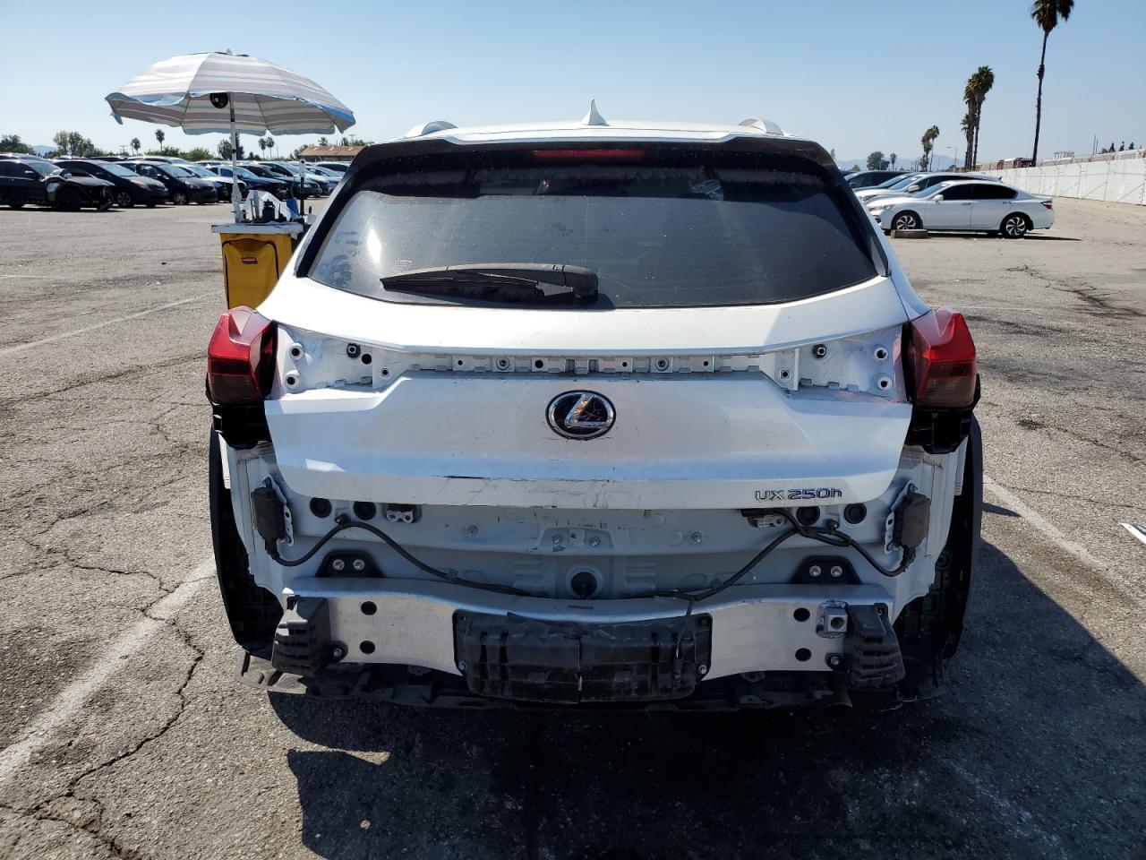2020 LEXUS Ux