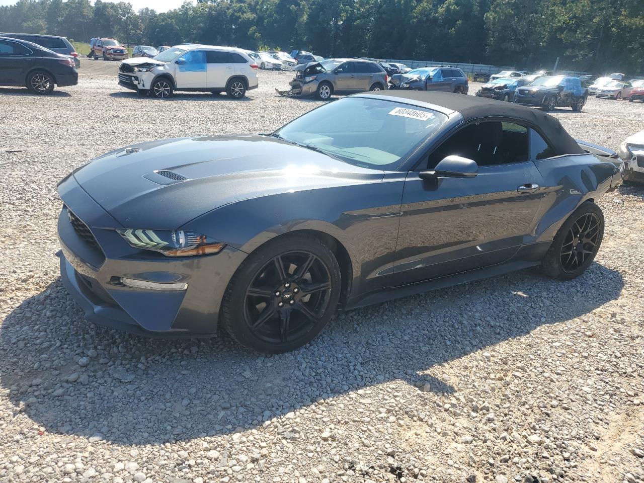 2019 FORD MUSTANG