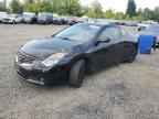 2009 NISSAN ALTIMA