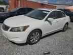 2010 HONDA ACCORD