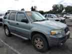 2006 FORD ESCAPE