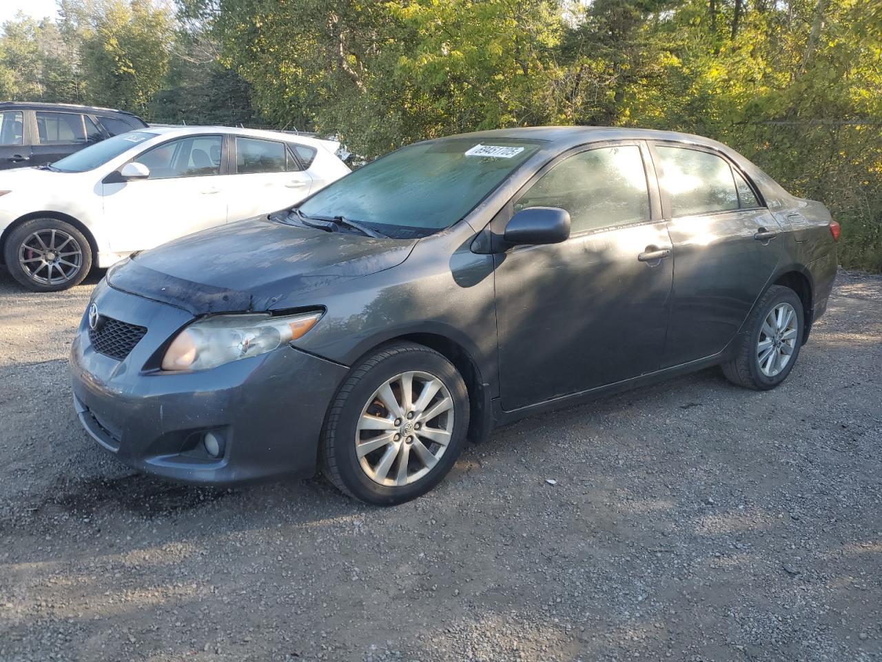 2010 TOYOTA COROLLA