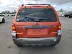 2006 FORD ESCAPE
