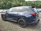 2024 LEXUS Tx