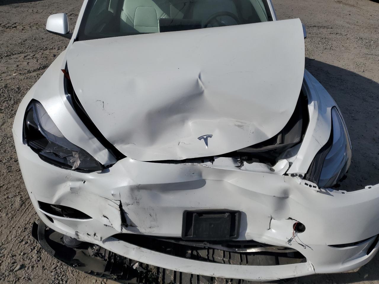 2025 TESLA MODEL Y