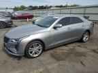 2024 CADILLAC CT4