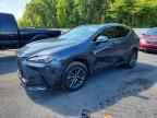 2024 LEXUS NX 350