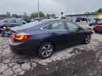 2019 HONDA Insight
