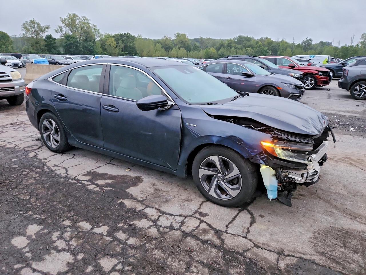 2019 HONDA Insight