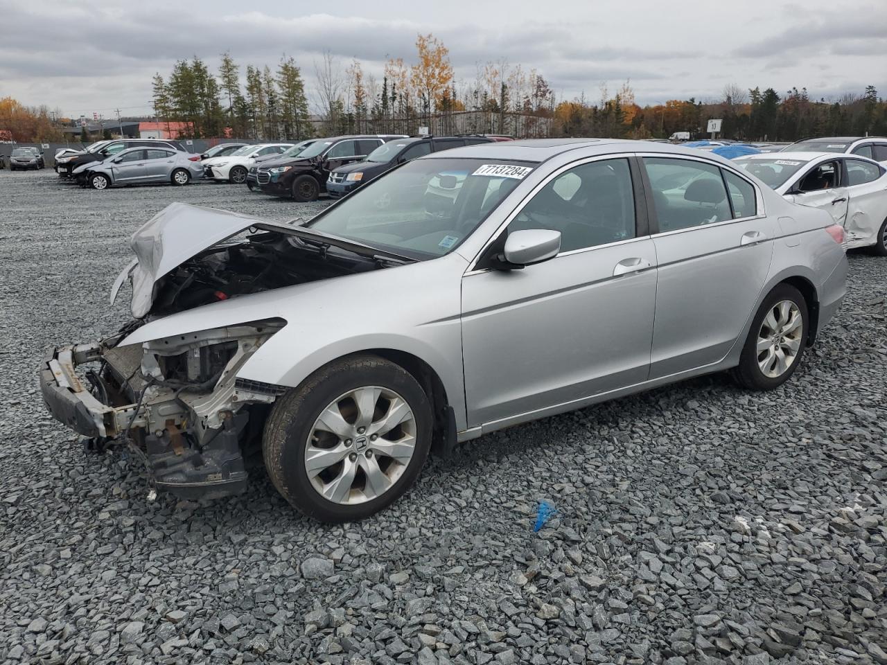 2010 HONDA ACCORD
