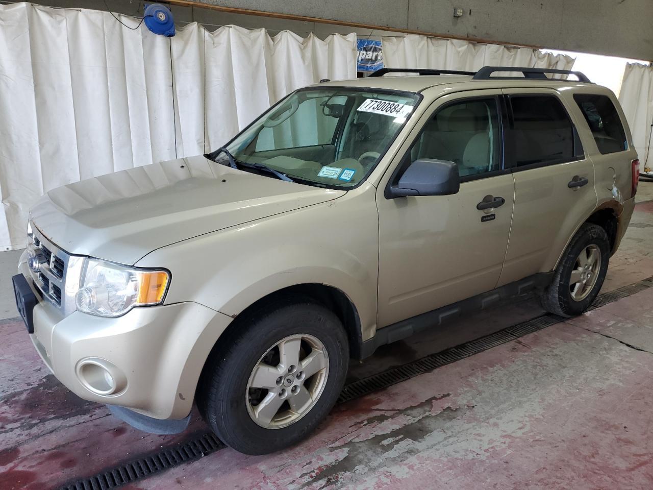 2019 FORD ESCAPE