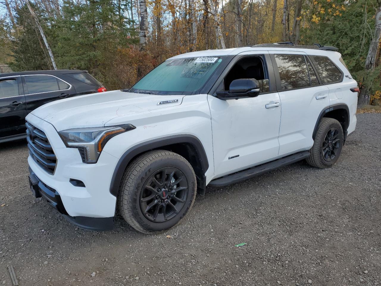 2024 TOYOTA Sequoia