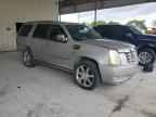 2009 CADILLAC ESCALADE