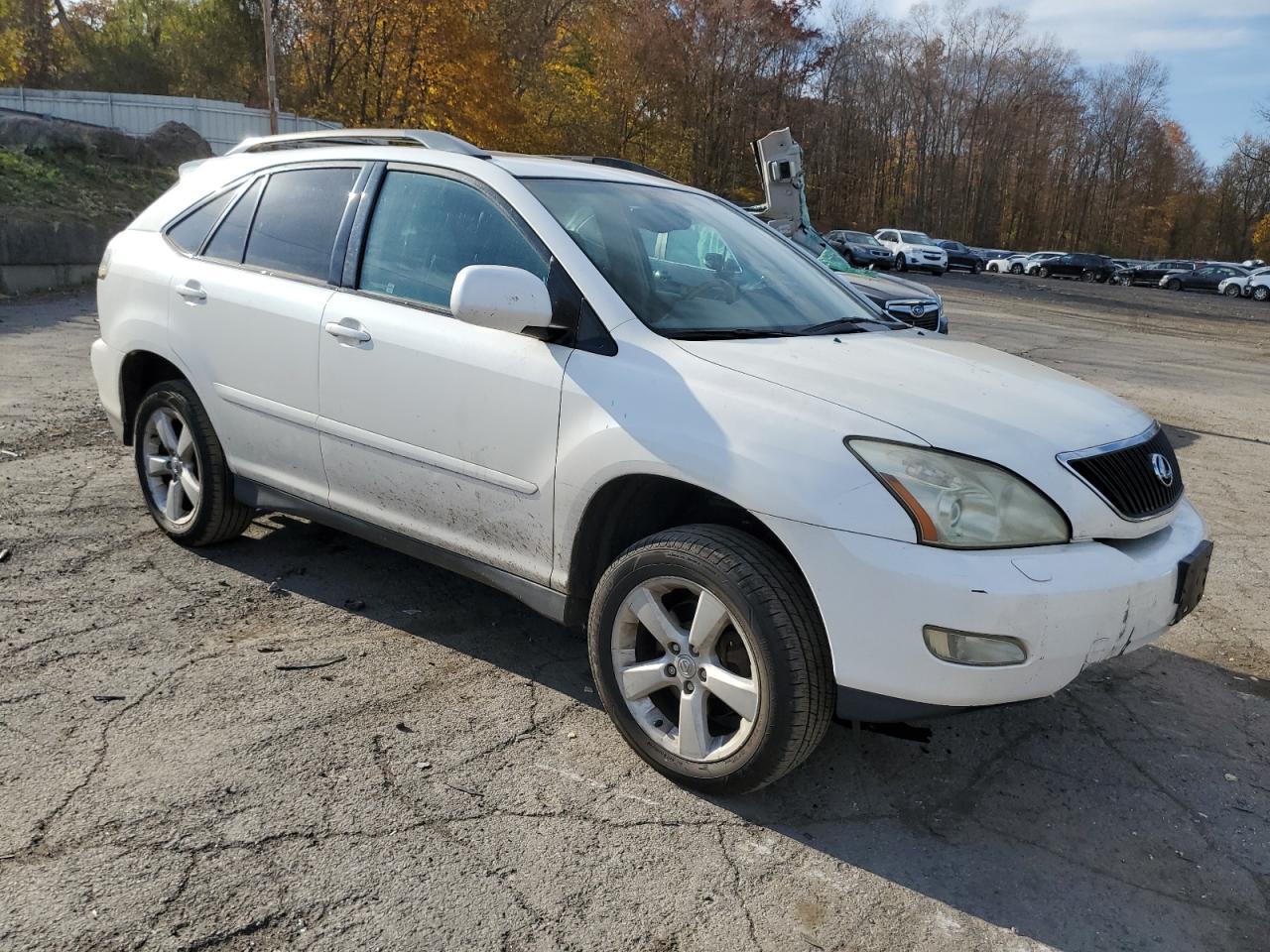 2004 LEXUS Rx 330