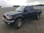 2001 TOYOTA TACOMA