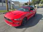2023 FORD MUSTANG