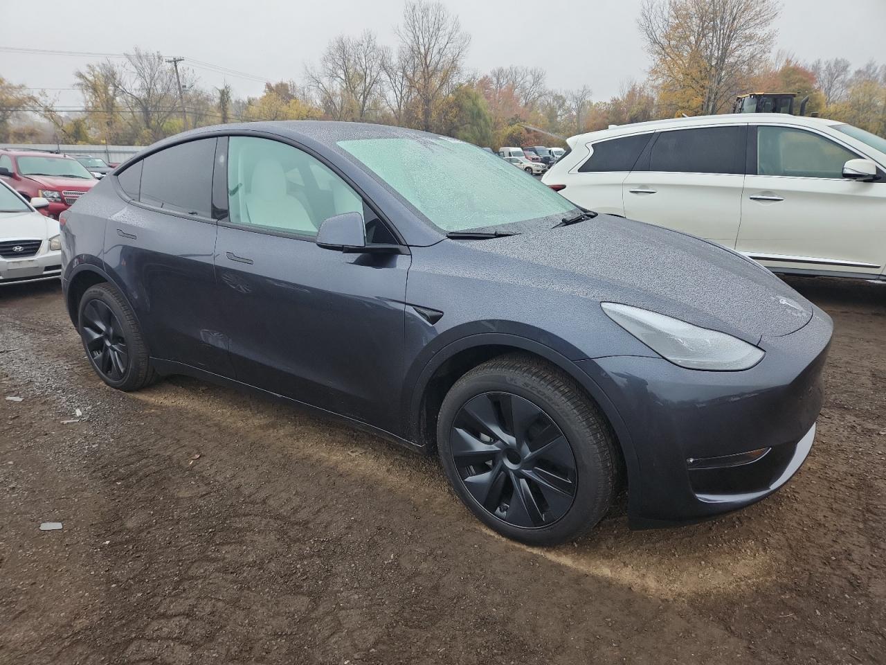 2025 TESLA MODEL Y