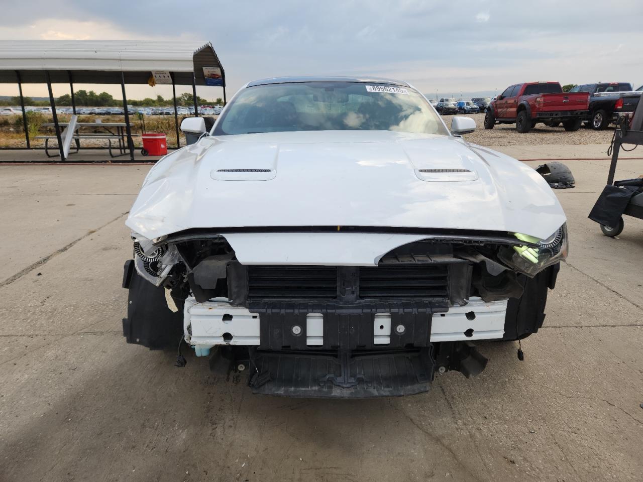 2019 FORD MUSTANG